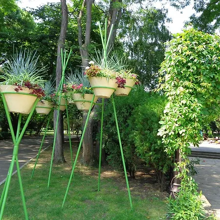 Apartment Zoya Burgas