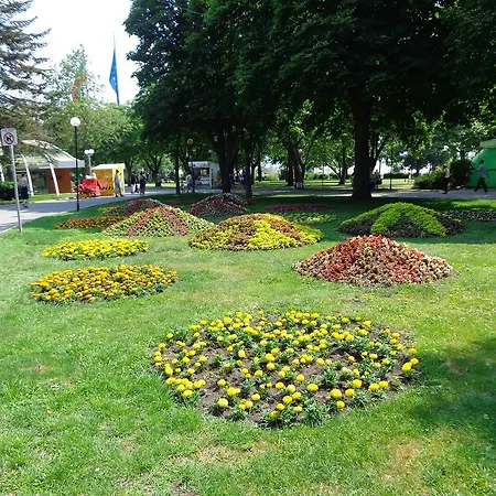 Zoya * Burgas