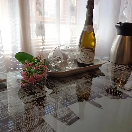 Apartment Zoya
